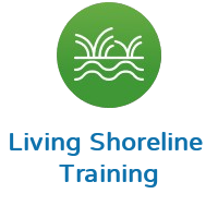 Living Shoreline Training Icon